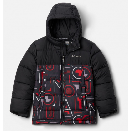 Куртка дитяча Columbia Pike Lake™ Jacket 1799491 - Зображення