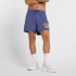 Шорти чоловічі New Balance Heritage Mesh Graphic  MS51514DRE