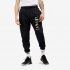 Спортивні чоловічі штани Nike NSW Club Plus Logo Pants DX0795-010