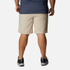Шорти чоловічі Columbia Men's Washed Out™ Shorts 1491953 - Зображення №3