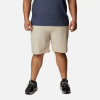 Шорти чоловічі Columbia Men's Washed Out™ Shorts 1491953 - Зображення №1