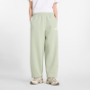 Брюки чоловічі New Balance Sport Essentials Fleece  MP41503GAS - Зображення №1