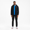 Джемпер чоловічий PUMA EVOSTRIPE FULL-ZIP MEN’S HOODIE  58581201 - Зображення №5