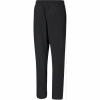 Спортивні чоловічі штани PUMA teamRISE Sideline Pants 65732703 - Зображення №2