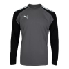  Джемпер Puma teamPacer GK LS Jersey 70493343*AW25 PUMA  - Зображення №1