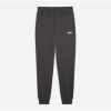 Брюки чоловічі Puma Essentials Graphics  68471344 - Зображення №4