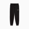 Брюки жіночі PUMA Class Sweatpants Women 69187901 - Зображення №4