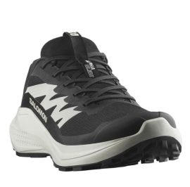 Жіночі трейлові кросівки Salomon Alphaglide W L47801500