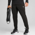 Брюки  чоловічі Puma M Tad Essentials Wool Tapered  52591601