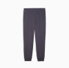 Брюки PUMA  TAD ESSENTIALS French Terry Jogger Men 52591769 - Зображення №2