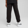 Брюки Дитячі PUMA   ESS No. 1 Logo Sweatpants Youth  68491401 - Зображення №3