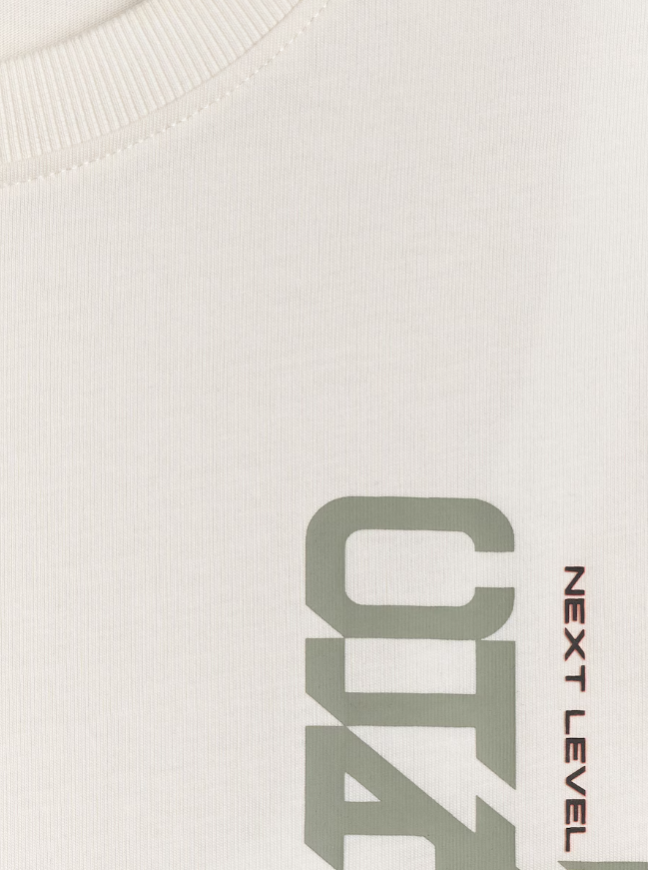 Футболка чоловіча regular  4F   SHM2665 - Зображення №6