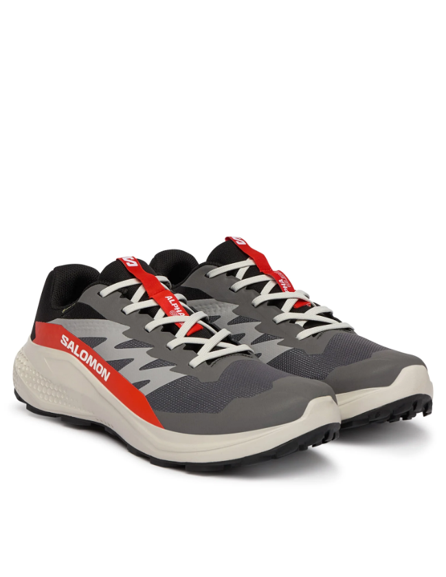 Кросівки для бігу Salomon Alphaglide Gore-Tex L47975300 - Зображення №2