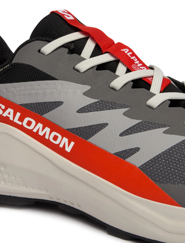 Кросівки для бігу Salomon Alphaglide Gore-Tex L47975300 - Зображення №4
