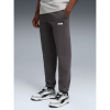 Брюки чоловічі Puma Essentials Graphics  68471344 - Зображення №1