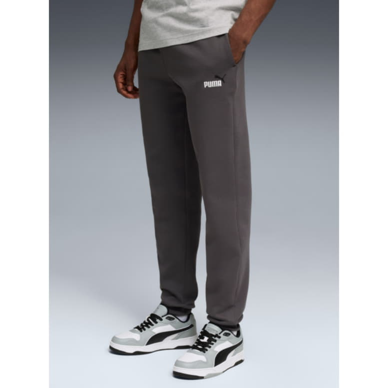 Брюки чоловічі Puma Essentials Graphics  68471344 - Зображення