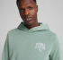 Худі чоловіче PUMA CLASS Hoodie Green Moon 68464130