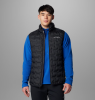 Жилет Чоловічий Columbia Delta Ridge™ II 2086261 - Зображення №2