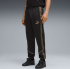 Брюки  PUMA  KING Anthem Football Pants Men  66029101