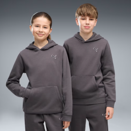 Худі дитяче PUMA  Essentials Elevated Hoodie Youth 69470134