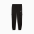 Брюки чоловічі PUMA  Essentials No. 1 Logo Cargo Pants Men 68266001