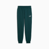 Брюки чоловічі PUMA  Essentials No. 1 Logo Sweatpants  68260770 - Зображення №4