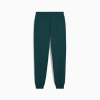 Брюки чоловічі PUMA  Essentials No. 1 Logo Sweatpants  68260770 - Зображення №5