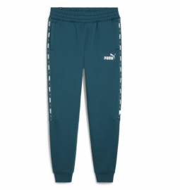 Штани чоловічі Puma ESS+ Tape Sweatpants FL cl 84904208*AW25 