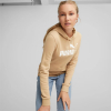 Толстовка жіноча PUMA ESSENTIALS BIG LOGO WOMEN'S HOODIE 58679789 - Зображення №1