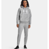 Худі жіноче Under Armour Women's UA Rival Fleece Big Logo Hoodie 1379501-012 - Зображення №3